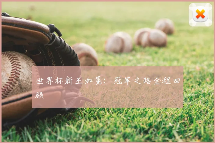 世界杯新王加冕:冠军之路全程回顾