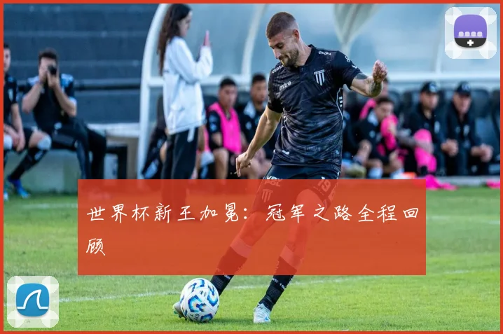 世界杯新王加冕:冠军之路全程回顾